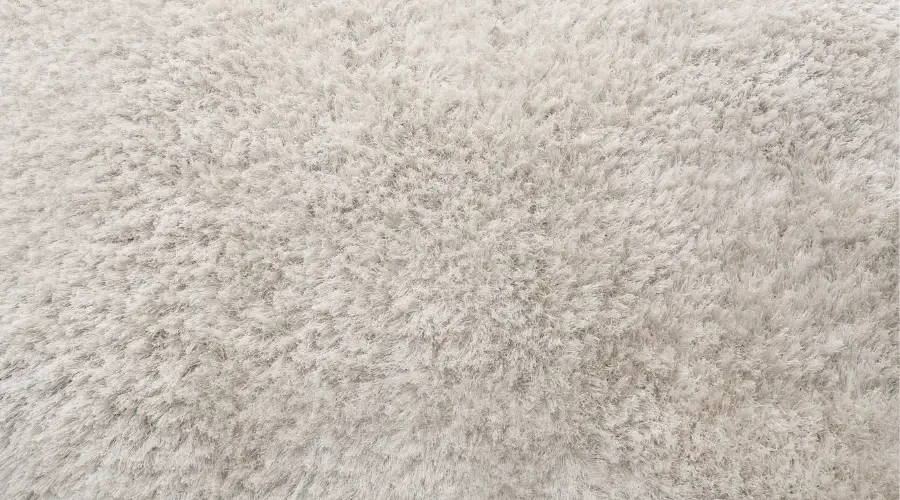 Close-up of soft cut pile carpet texture in a light neutral color.